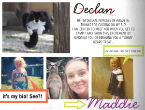 A collage featuring a black and white cat, handwritten text about the cat named Declan, and three childhood photos of a girl named Maddie. Speech bubbles add humorous commentary about whose bio it is.
