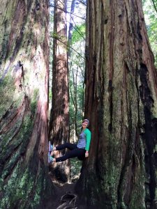 A person wearing a green and gray long-sleeve shirt, black pants, and a beanie smiles while sitting in a gap between two large redwood trees in a forest. Sunlight filters through the tall trees above.
