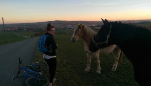 A woman with a blue backpack stands by a country road near a fallen bicycle, looking at two horses—one tan and one black—in a grassy field at sunset. Rolling hills and a distant town are visible in the background.