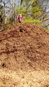 my daughter climbed a 12' wood chip pile so we had to take a picture