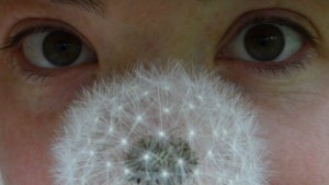 A close-up of a persons face, focusing on their eyes, with a white dandelion puff held up in front of their nose and mouth.