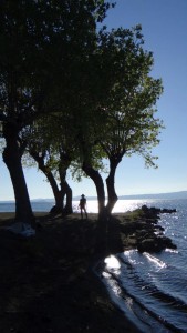 A silhouette of a person stands near trees by the waters edge, with sunlight reflecting off the lake and gentle waves lapping the shore under a clear blue sky.