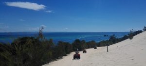 People ride quad bikes down a sandy dune toward the blue ocean, with green bushes on the sides and several boats visible on the water under a clear sky.