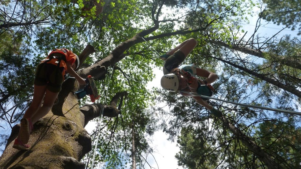 Tree Climbing Nerf Fight