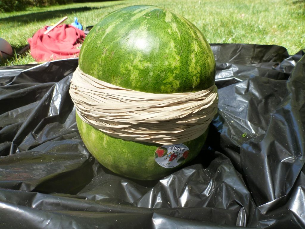 explode a watermelon with rubber bands