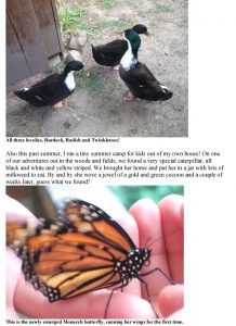 Two ducks with dark and white feathers stand on sandy ground near a mesh fence. Below, a close-up of a Monarch butterfly with orange and black wings rests on a persons hand.