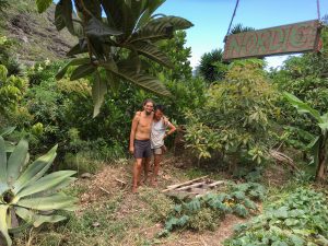 Two people stand close together in a lush, green tropical garden surrounded by plants. A handmade sign reading NORDIC hangs above them. A mountain is visible in the background.