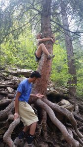 A young woman climbs a tree while a young man stands nearby on exposed roots, reaching out toward her. The scene is set in a forest with dense greenery and sunlight filtering through the trees.