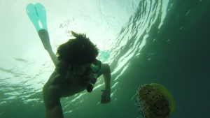 A person wearing a snorkel mask and fins swims underwater near a translucent jellyfish with yellow and purple markings. Sunlight filters through the water above.