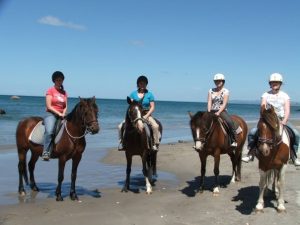 Four people wearing helmets are riding horses along a sandy beach with the ocean and blue sky in the background. The group appears relaxed and is enjoying a sunny day by the sea.