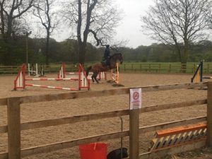 A person riding a brown horse is mid-jump over an obstacle in an outdoor equestrian arena, surrounded by a wooden fence and trees under a cloudy sky.