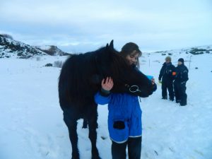 A person in a blue jacket hugs a dark brown horse in a snowy landscape, while two other people stand in the background, dressed in winter clothing. Snow-covered hills are visible under a cloudy sky.