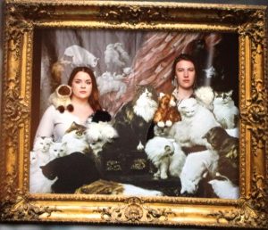 Two women pose inside an ornate gold frame, surrounded by many cats and cat plush toys of various breeds and colors, all set against a dark, patterned backdrop.