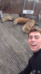 A young man in a wetsuit smiles for a selfie in front of several sea lions lying on a grooved concrete surface near a metal structure.