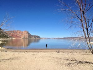 A person stands alone at the edge of a calm lake, with sandy shore in the foreground, bare trees on both sides, and colorful mountains under a clear blue sky in the background.