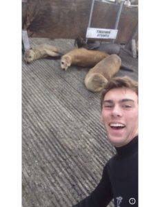 A young man in a wetsuit smiles for a selfie in front of four sea lions resting on a textured, sloped concrete surface near a wooden structure.