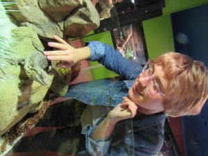 A person with short, light hair and glasses smiles while gently touching a lizard inside a glass enclosure filled with rocks and plants.