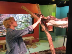 A person in a denim jacket gently touches a large snake resting on a tree branch inside a glass enclosure at a zoo or reptile exhibit.
