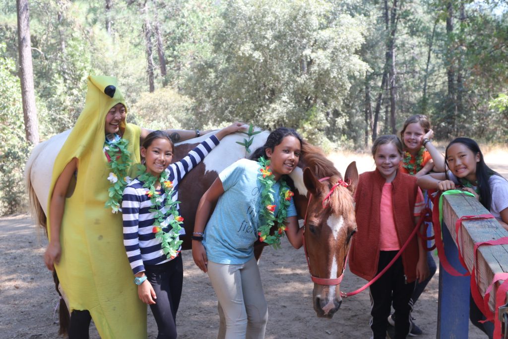 A group of smiling children, joined by summer camp staff, stand beside a brown and white horse in a wooded outdoor area. One child is dressed in a banana costume as others wear colorful leis and pet the horse, enjoying a fun day together.