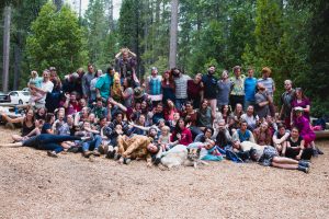 A large, diverse group of people and a dog—summer camp staff—pose playfully together outdoors in a wooded area, some sitting and others standing, with tall trees and greenery in the background.