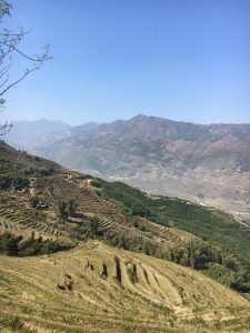 Terraced fields cover rolling hills under a clear blue sky, with distant mountains in the background and green patches of vegetation scattered across the landscape.