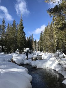 A person stands on a snow-covered rock beside a creek surrounded by snowy banks and tall pine trees under a bright blue sky with scattered clouds.