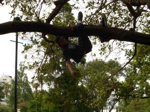 A person in dark clothing and a hat hangs upside down from a tree branch in a park, surrounded by leafy trees and greenery, with buildings visible in the background.