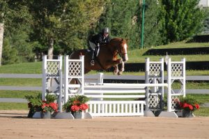 A rider in a black jacket and helmet jumps a brown horse over a white fence during an outdoor equestrian event, with green trees and shrubs in the background.