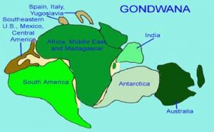 Illustration of the ancient supercontinent Gondwana, showing the modern locations of South America, Africa, Antarctica, Australia, India, and other regions before continental drift.