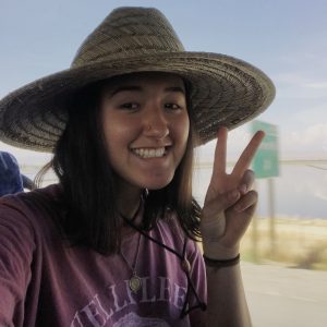 A young woman wearing a wide-brimmed straw hat and a pink t-shirt smiles and makes a peace sign while sitting on a bus, with a sunny landscape and water visible through the window behind her.