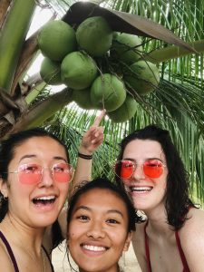 Three smiling women wearing sunglasses pose under a palm tree, with one pointing up at a cluster of green coconuts above their heads. The background shows green palm leaves.