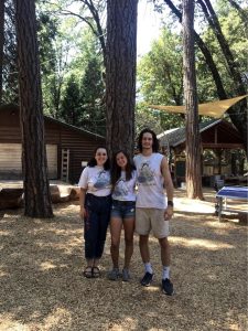 Three young adults stand together smiling in a sunny forested area. They wear matching camp T-shirts, and wooden cabins are visible in the background among tall trees.