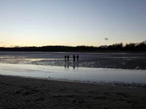 Silhouettes of four people walk along a sandy beach at low tide during sunset, with calm water and a dark treeline in the background under a clear sky.