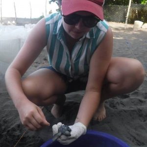 A person wearing a red cap, sunglasses, and gloves crouches on sandy ground, gently holding a baby sea turtle near a blue bucket, possibly participating in a conservation activity.