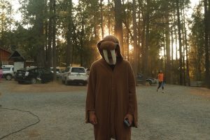 A person wearing a brown walrus costume stands on a gravel road in a wooded area at sunset, with cars and trees in the background.