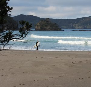 A lone surfer in a wetsuit carrying a surfboard walks along a sandy beach towards the ocean, with gentle waves and forested hills in the background. A leafy branch is visible in the foreground.