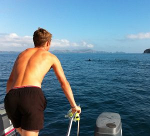 A man in black swim trunks stands on a boat ladder, looking out over the ocean toward a distant pod of dolphins swimming near the surface under a blue sky.