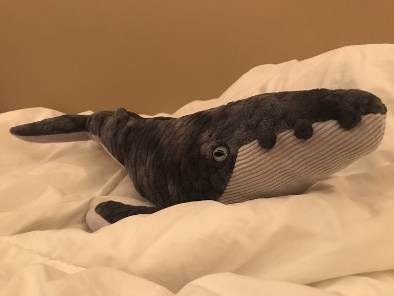 Humphrey, the stuffed whale, lying on the bed