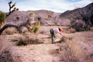 A person in casual clothes leans forward, stretching over dry grass in a desert landscape with Joshua trees, shrubs, and mountains under a partly cloudy sky.