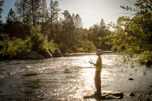 A person in a hat stands on a rock by a flowing river, fishing at sunset, surrounded by trees and greenery. Sunlight reflects off the water, creating a peaceful outdoor scene.