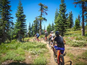 A group of people wearing helmets ride mountain bikes along a dirt trail surrounded by green pine trees and wildflowers under a clear blue sky.