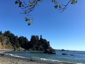 A peaceful beach scene with gentle waves, rocky shoreline, and forested cliffs under a clear blue sky. A few branches with green leaves extend into the frame from the top.