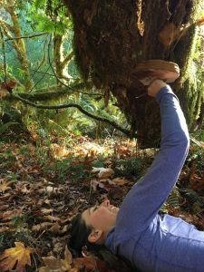 A person in a blue jacket lies on the forest floor, reaching up to touch a large mushroom growing on the underside of a mossy, fallen tree surrounded by autumn leaves and ferns.