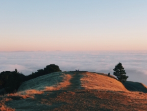 A grassy hilltop glows in warm sunlight, with a blanket of clouds covering the landscape below. A few trees are scattered along the edges, and the sky is clear with a soft gradient at sunrise or sunset.