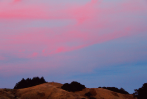 A hill with scattered trees is silhouetted against a sky streaked with pink and blue during sunset or sunrise.