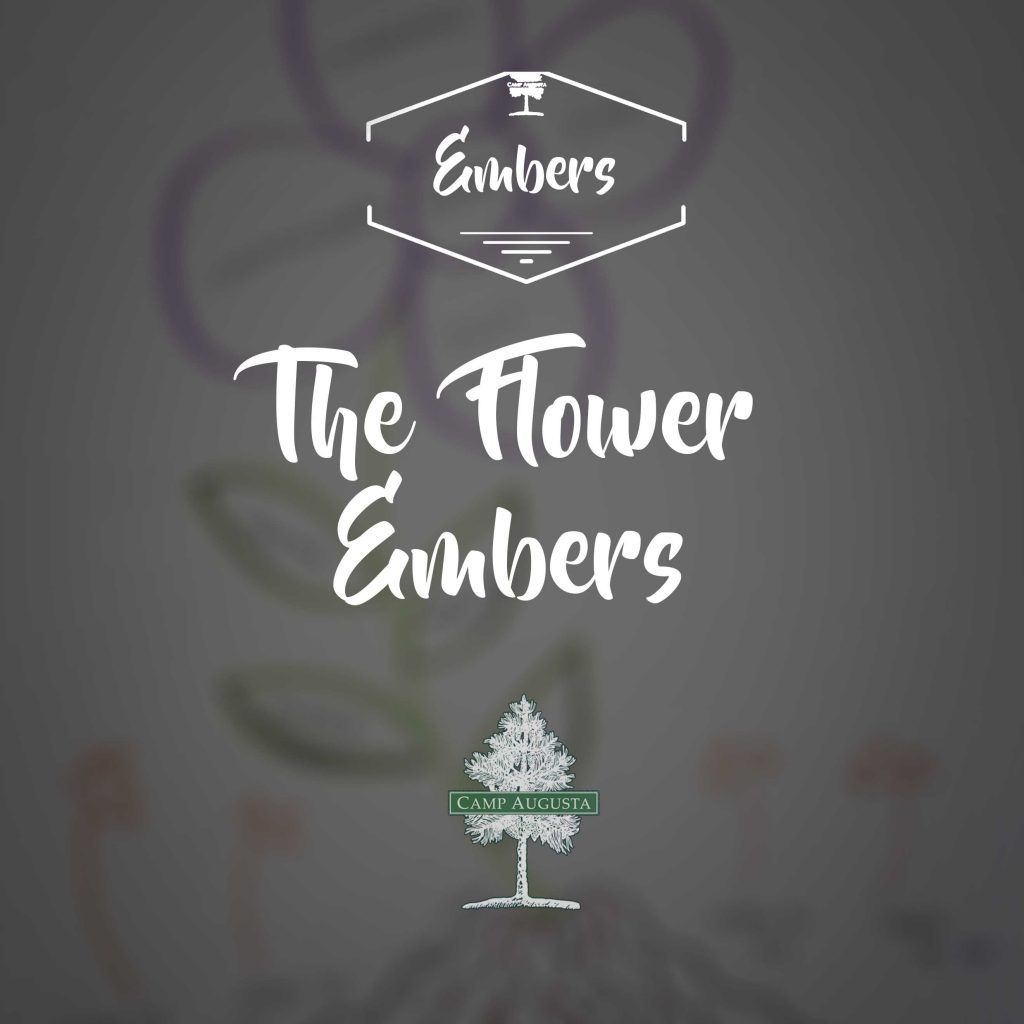 A blurred drawing of a flower is in the background with the words Embers, The Flower Embers, and a Camp Augusta tree logo in the foreground.
