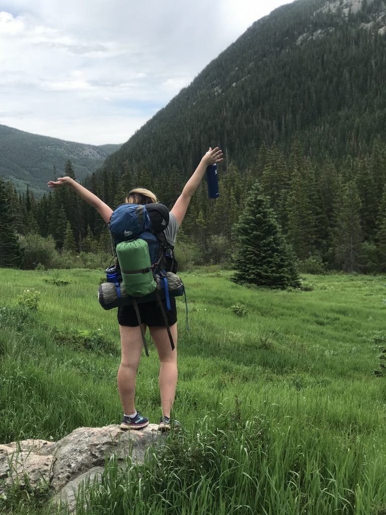 A person with a large hiking backpack stands on a rock, arms raised in joy, overlooking a lush green meadow and forested mountains under a cloudy sky.