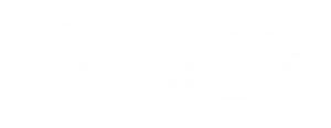 White handwritten script on a light gray background reads Cabin Life.