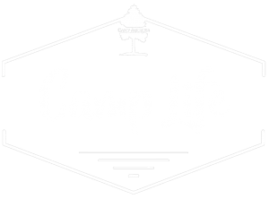 Hexagonal badge with a tree at the top, the words Camp Life in large cursive font in the center, and a few decorative lines below the text. The overall design is simple and outdoors-themed.