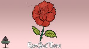 A hand-drawn red rose with green leaves and the words Rose Bud Thorn below it on a pink gradient background. A Camp Augusta logo featuring a tree is in the bottom left corner.